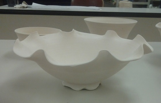 Porcelain Ceramic Bowl undulating